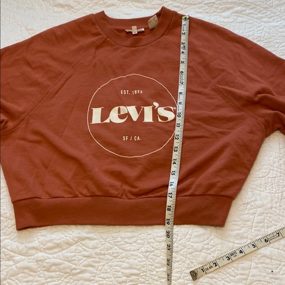 Levi's Rust Crewneck Semi-Cropped Sweatshirt Terracotta | Small - Picture 4 of 7